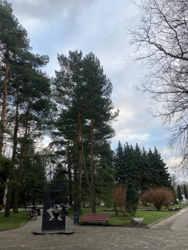 walking near me in Парк Ратсхоф in winter