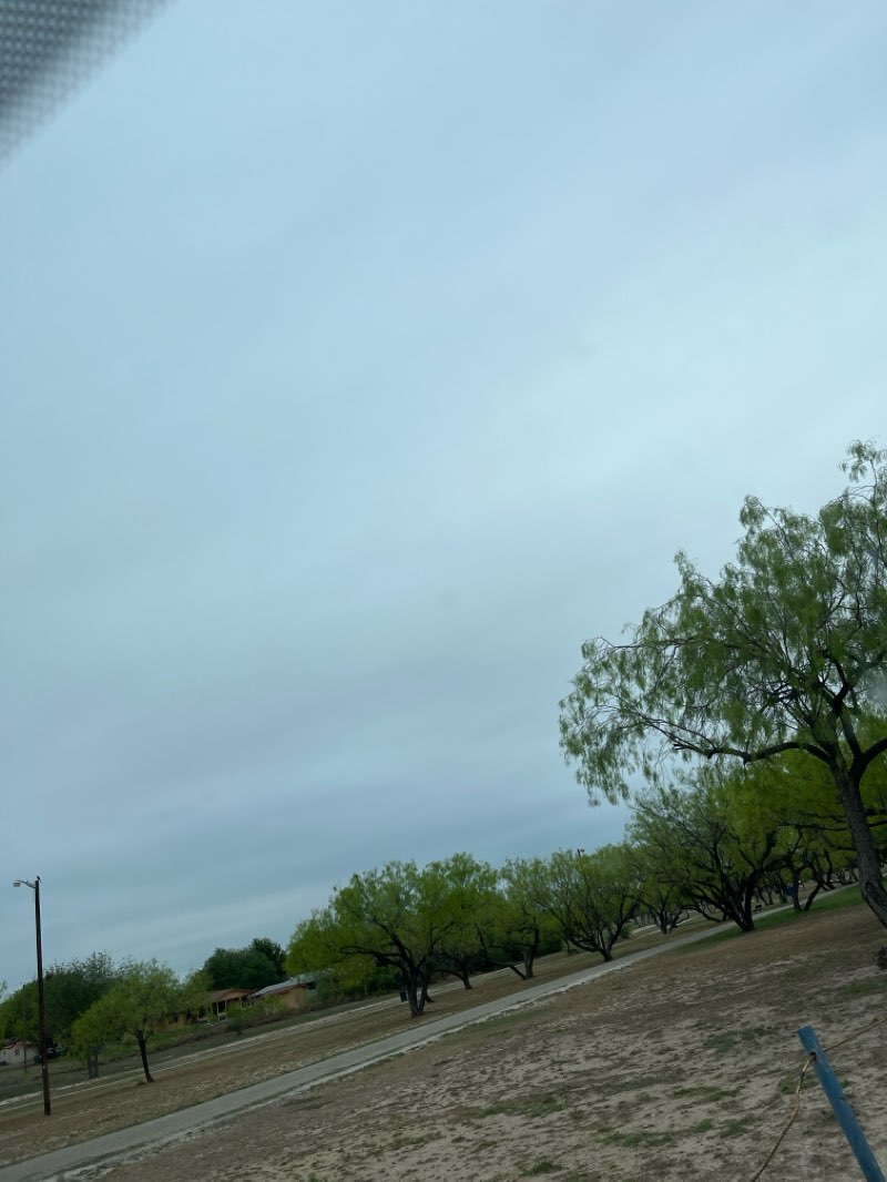 walking near me in Buena Vista Del Rio Host Lions Park in winter
