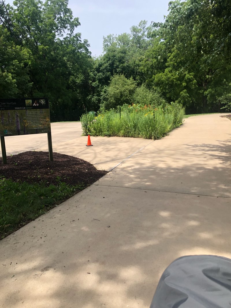 walking near me in Conservation World in winter