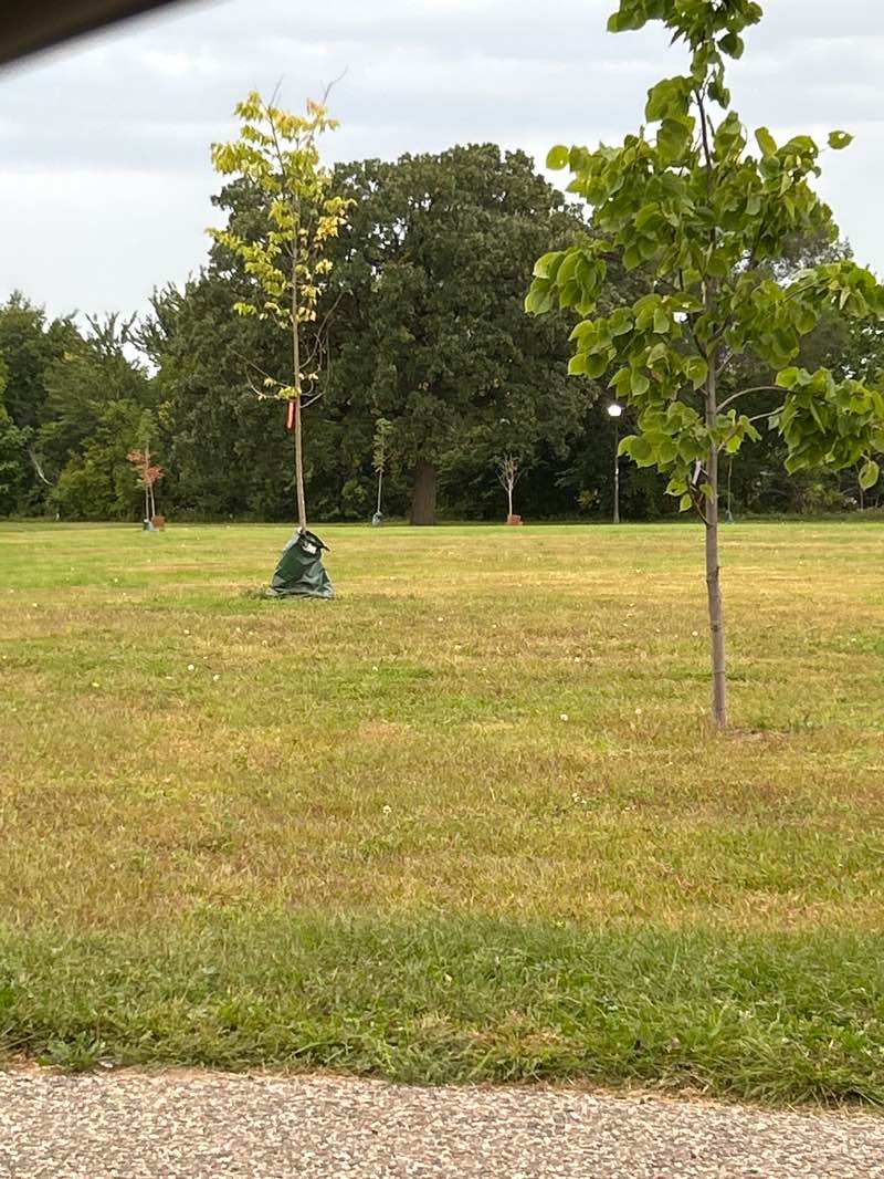 walking near me in Webber Park in autumn