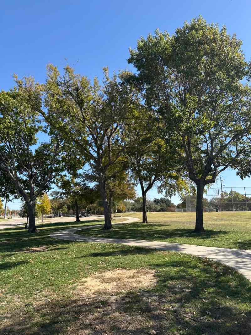 walking near me in Glenville Park in autumn