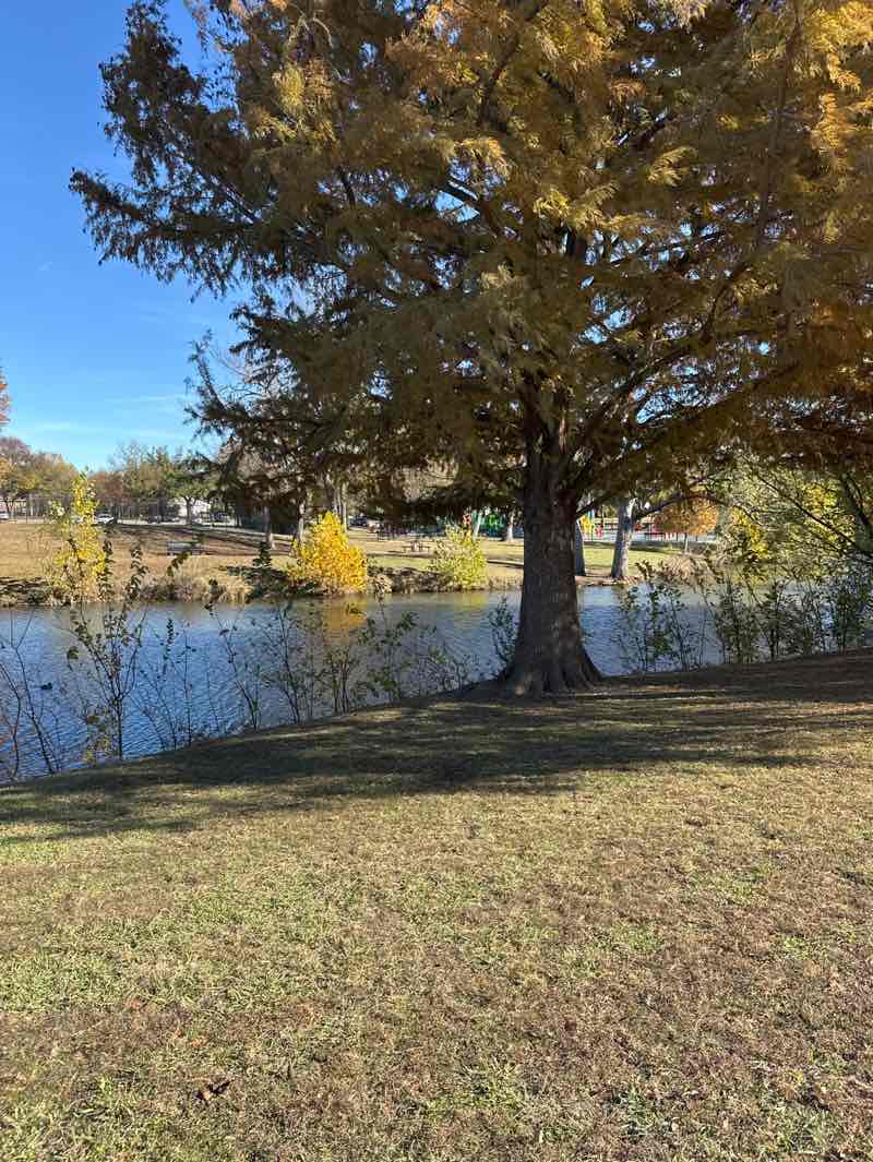 walking near me in Cottonwood Park in winter