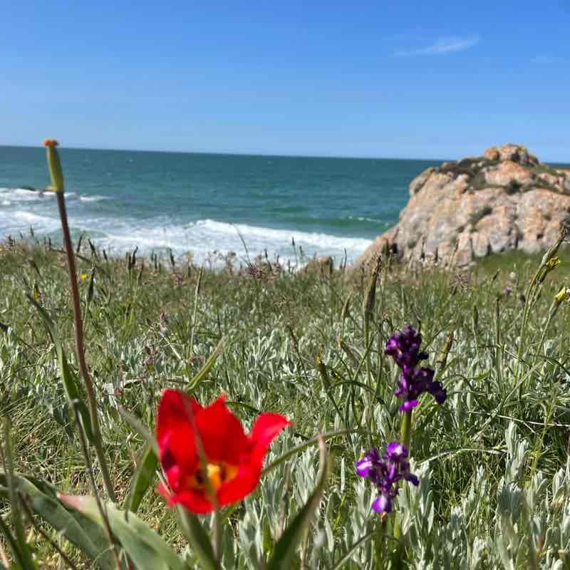 Слава Яровенко post 1