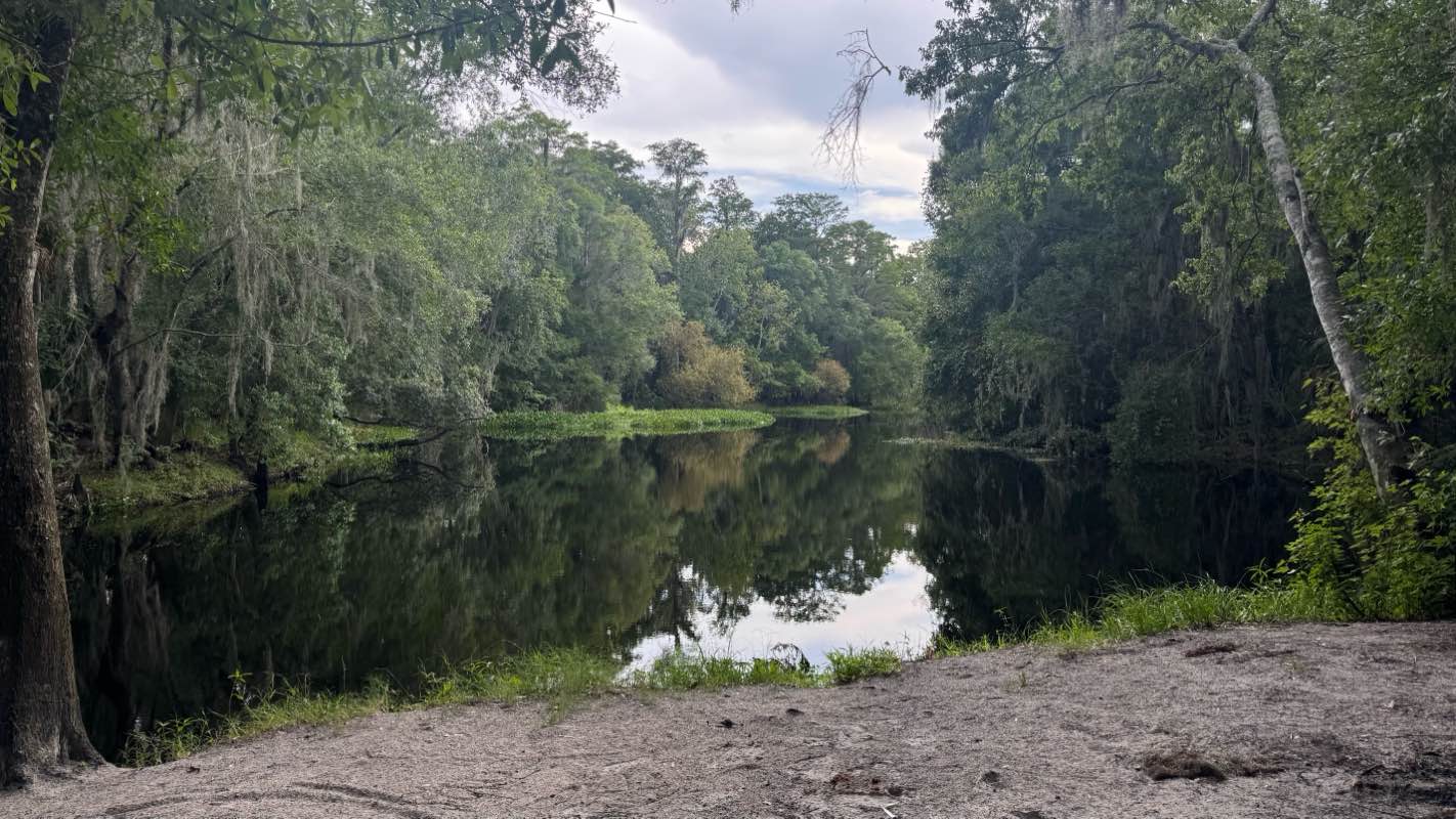walking near me in Shingle Creek Regional Park in summer