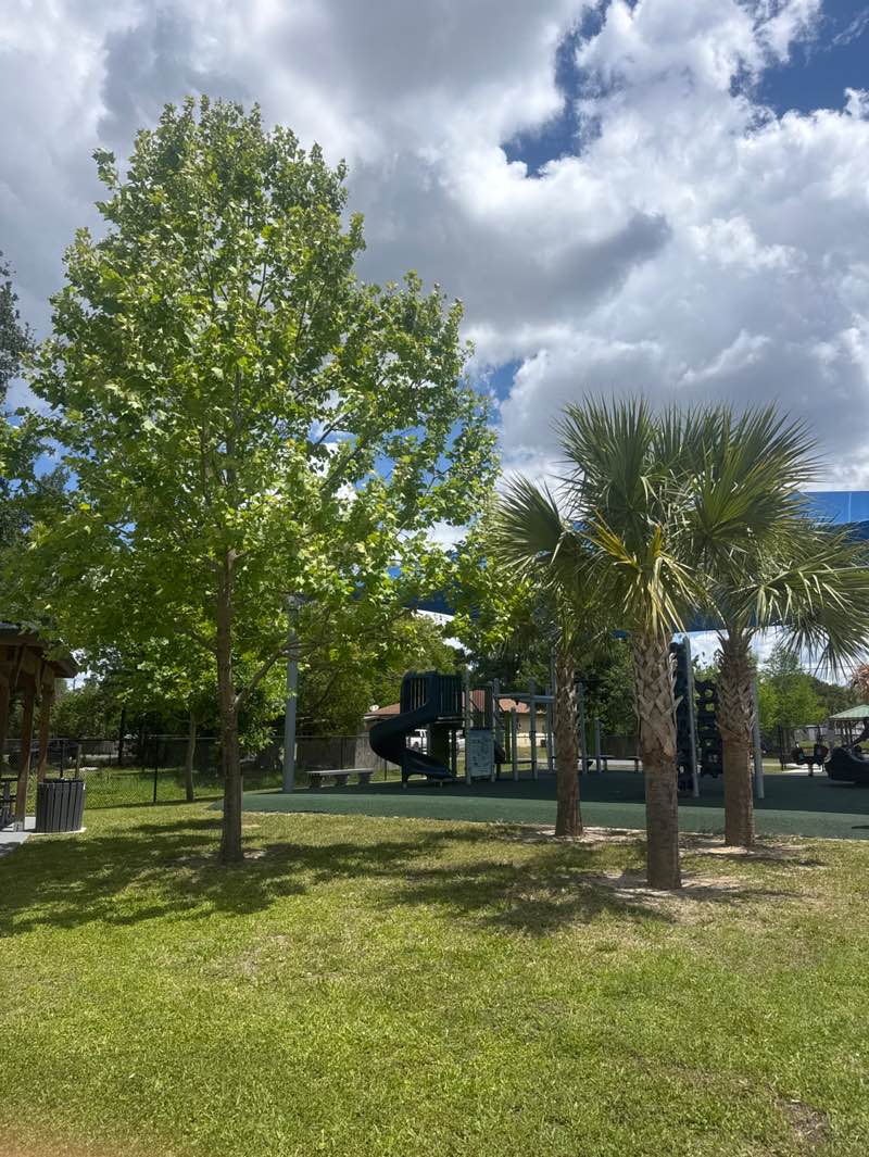 walking near me in Tropical Neighborhood Park in spring