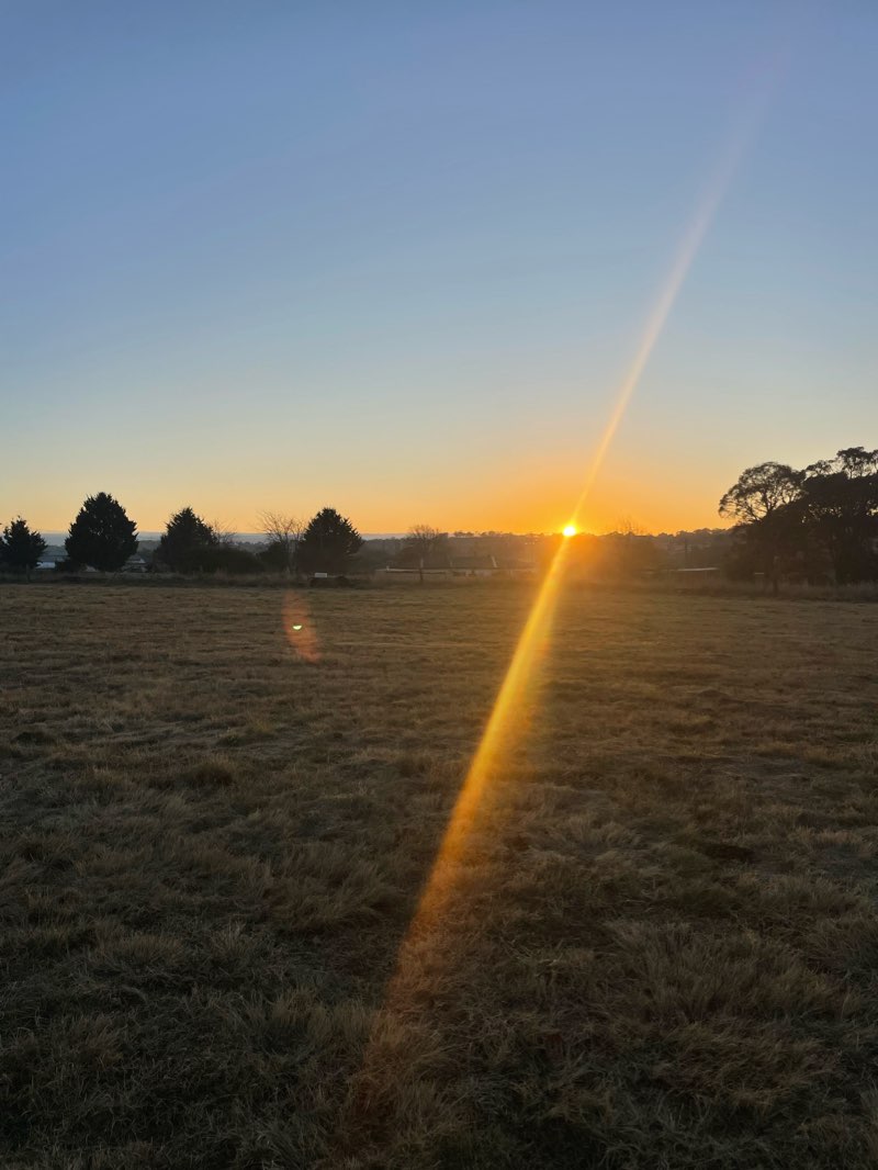 walking near me in Veness Park in summer