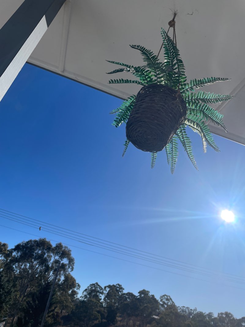 walking near me in Quinton Park in summer