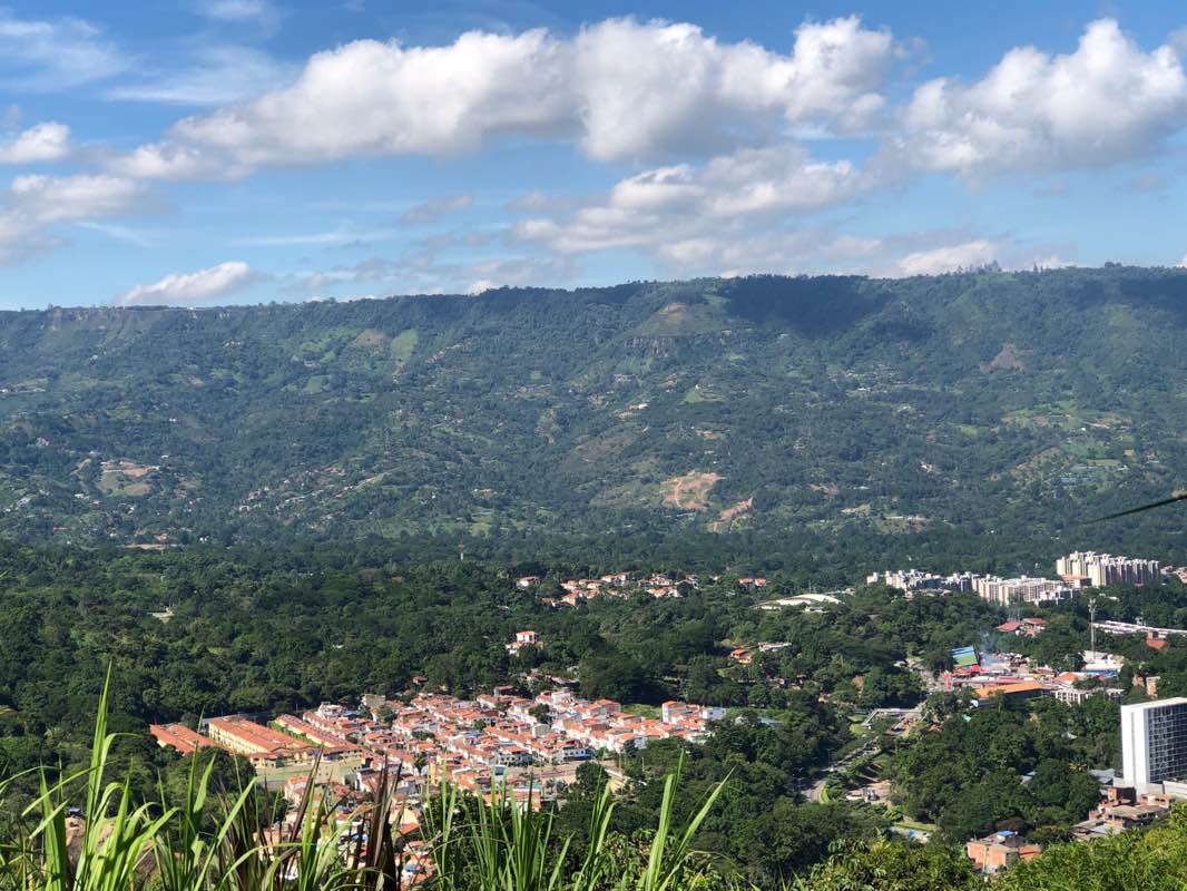 walking near me in Parque Cabecera in winter