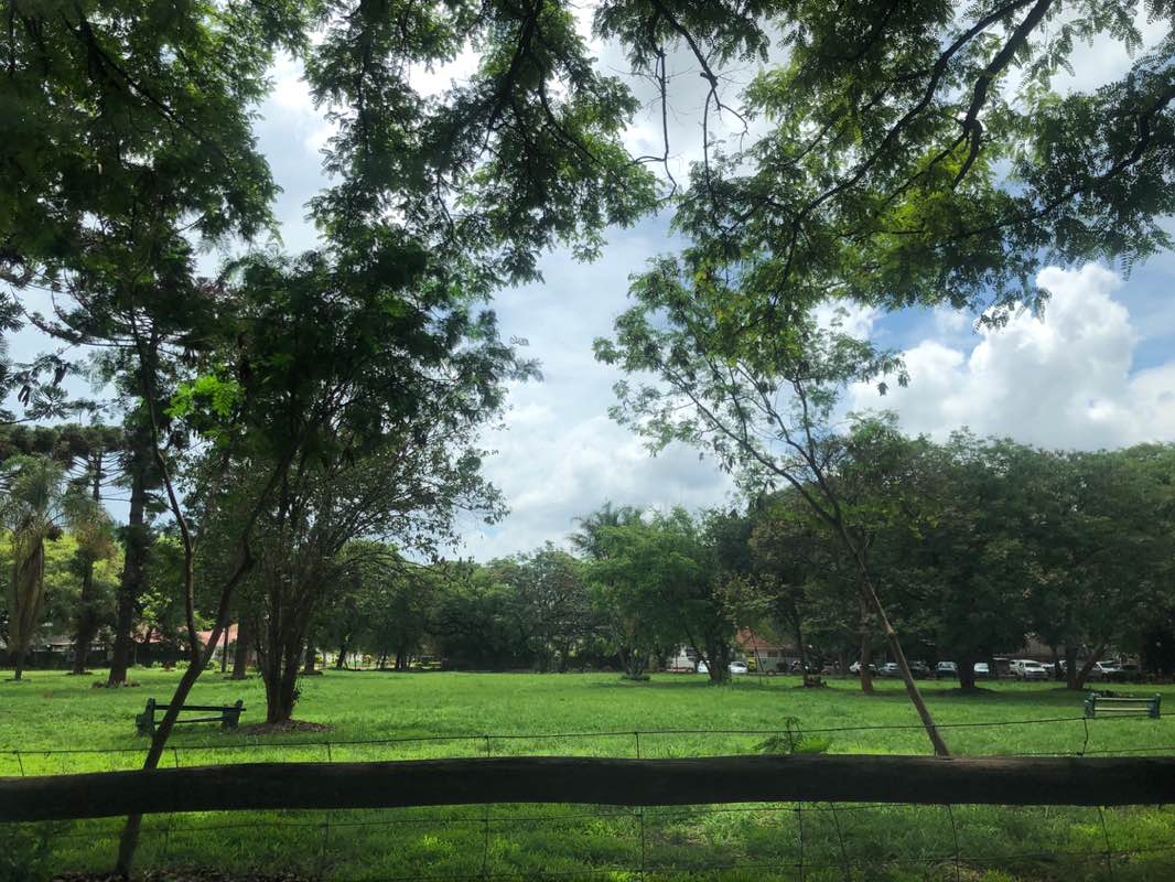 walking near me in Rowland Park in summer