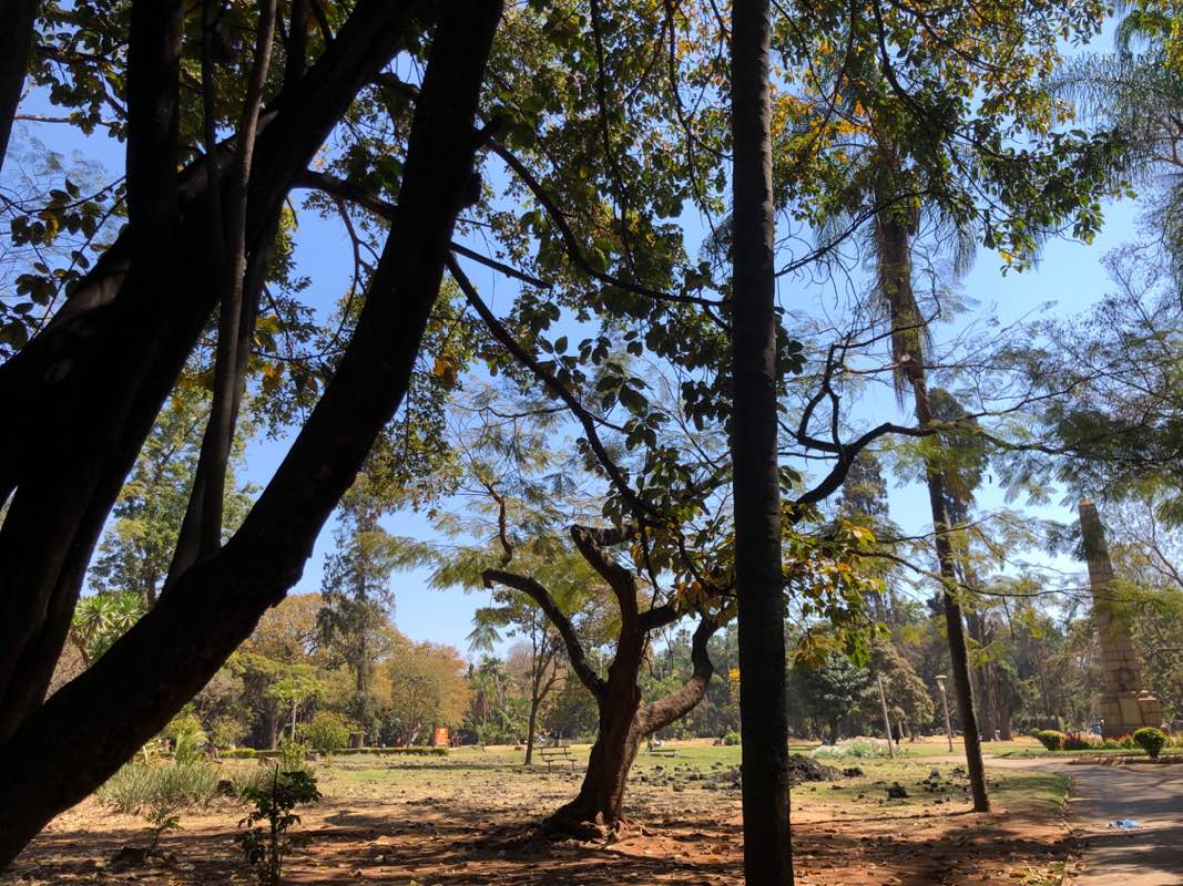 walking near me in Harare Gardens in spring