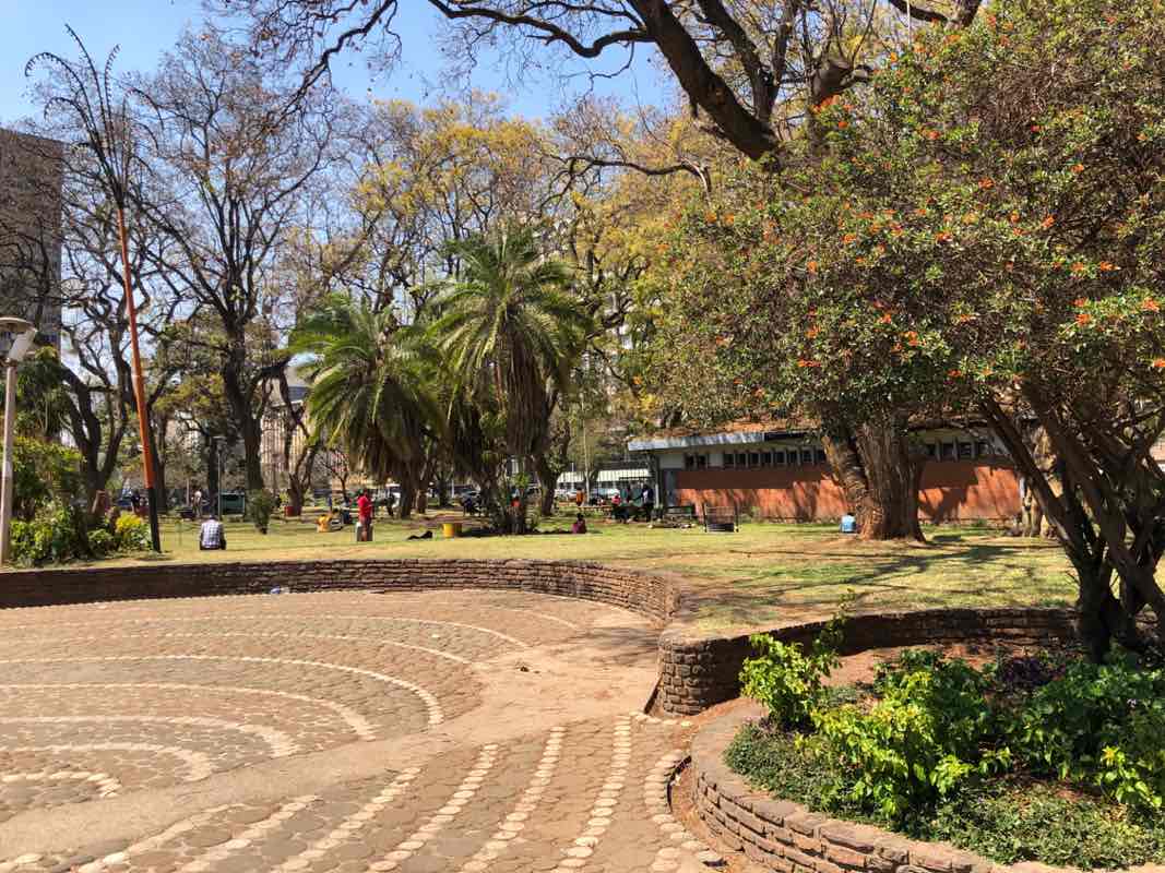 walking near me in Africa Unity Square in spring