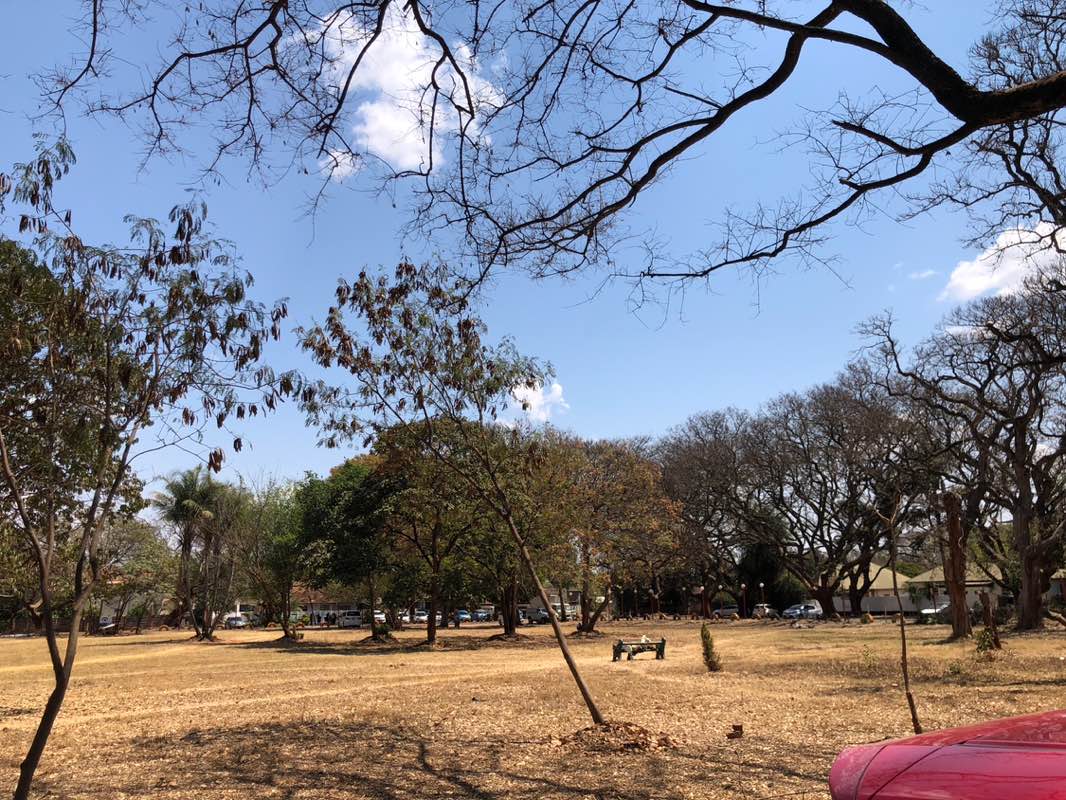 walking near me in Rowland Park in spring