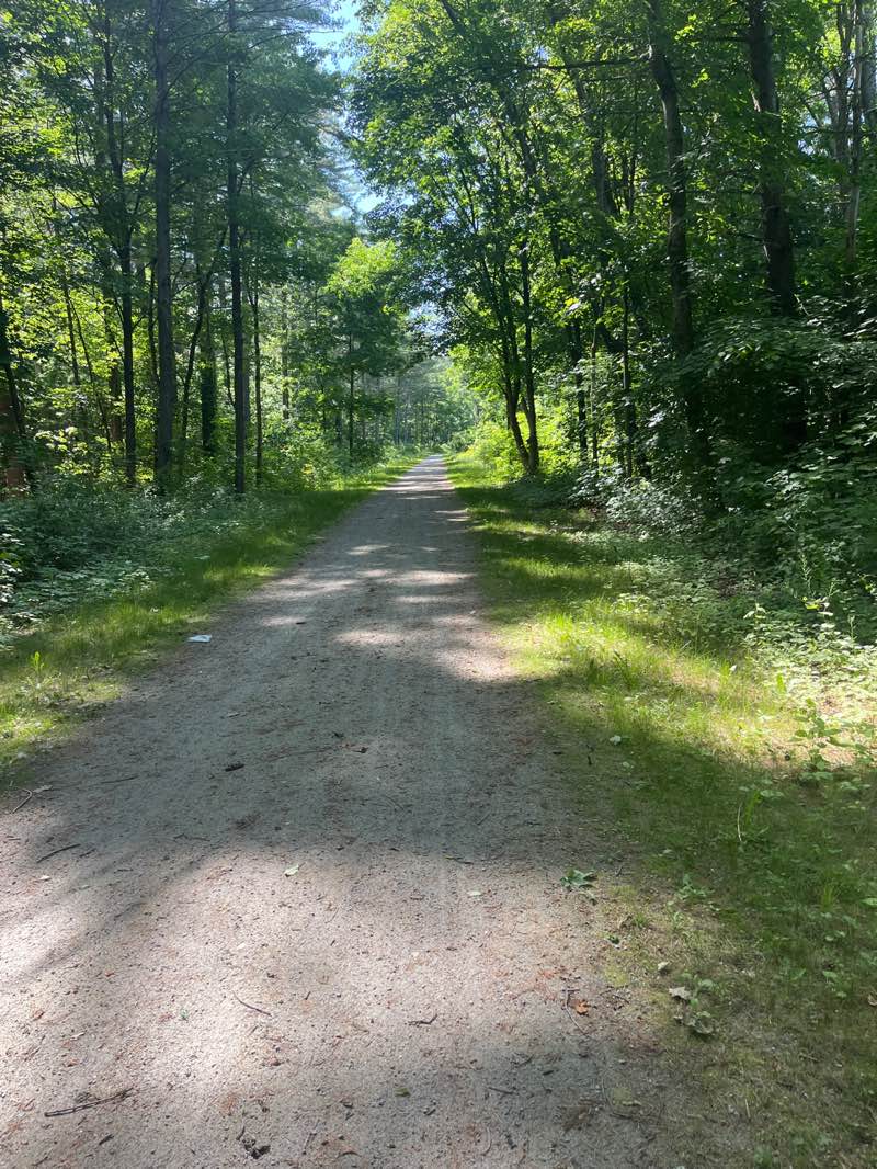 walking near me in Squannacook Picnic Site in summer