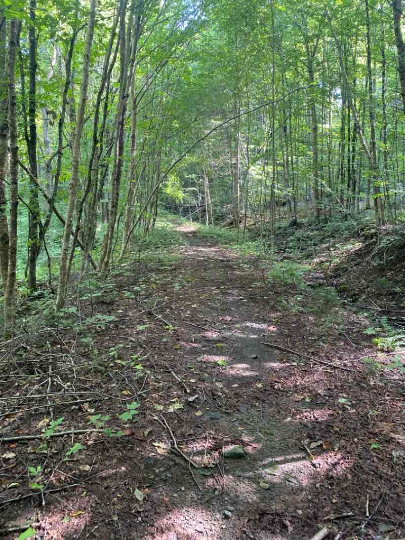 walking near me in Parc naturel régional de Portneuf in autumn