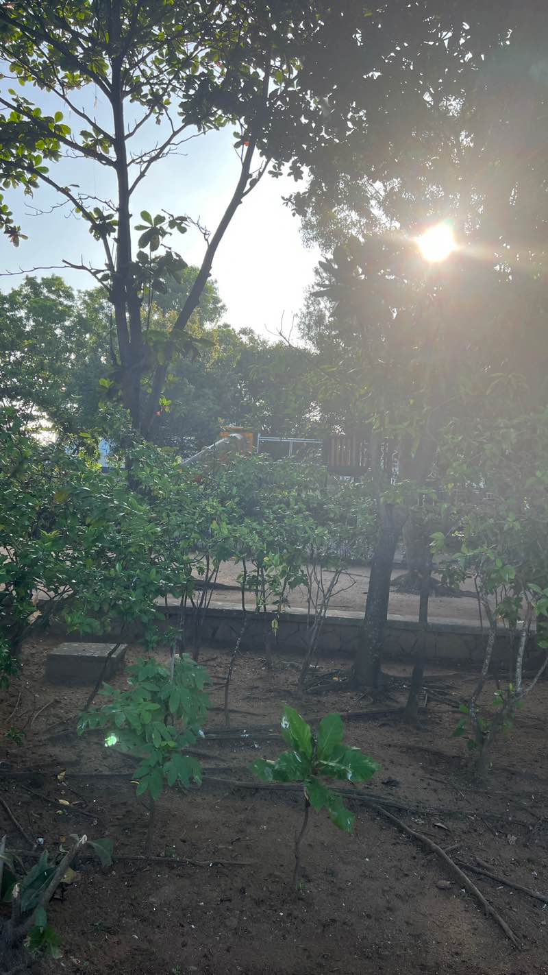 walking near me in Crow Island Beach Park in winter