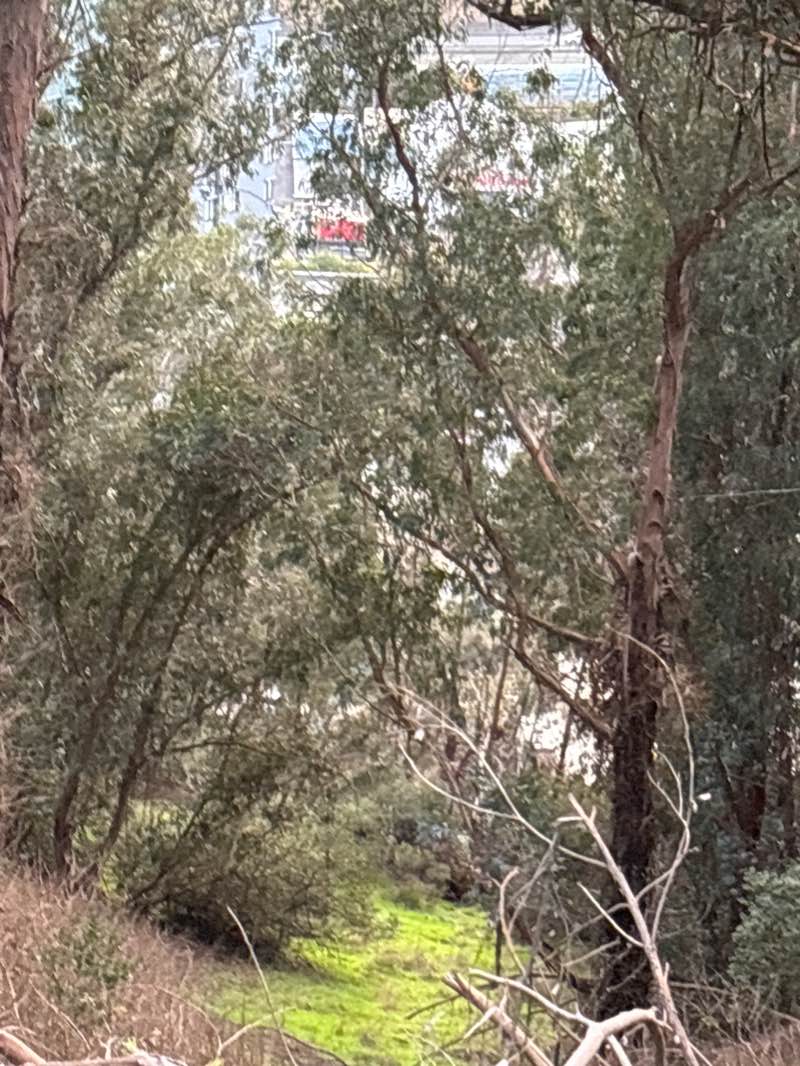 walking near me in Creekside Park in winter