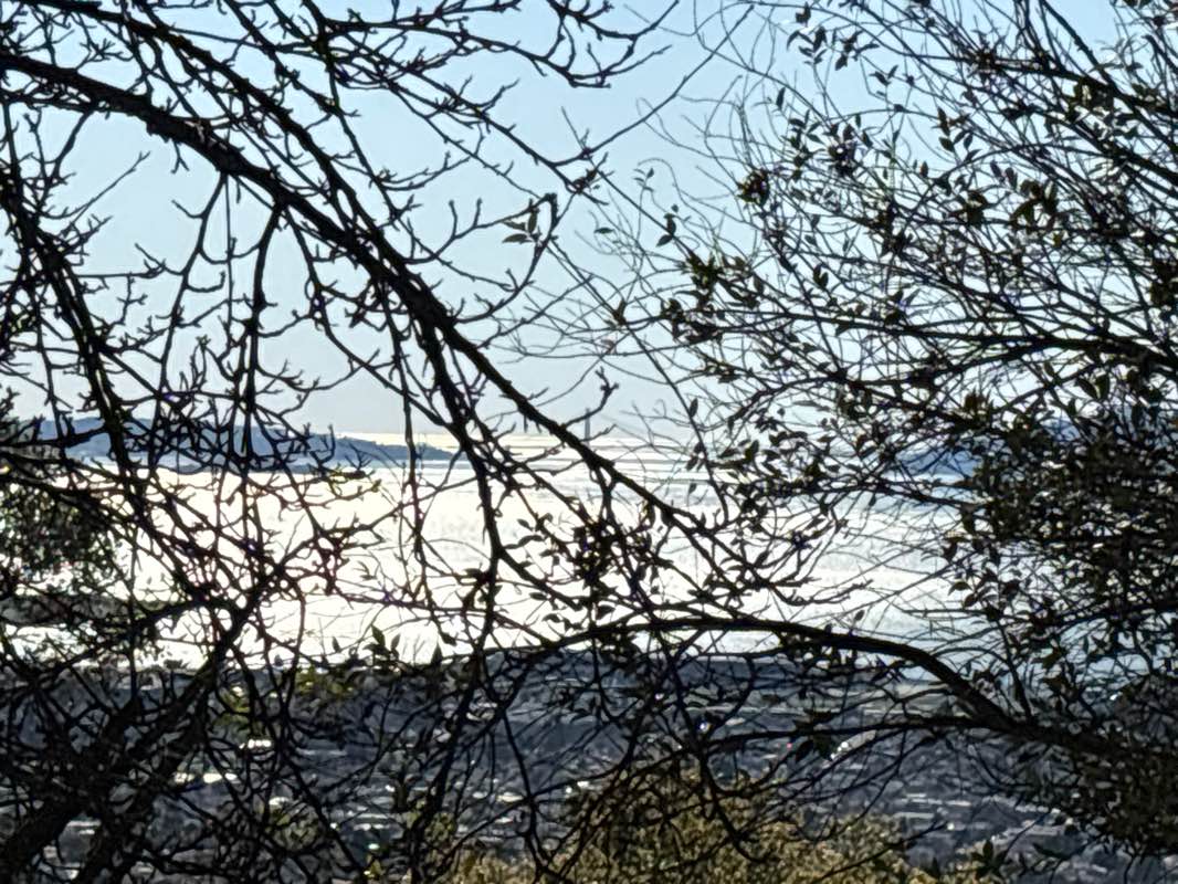 walking near me in John Hinkel Park in winter
