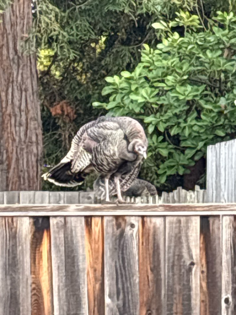 walking near me in Terrace Park in winter