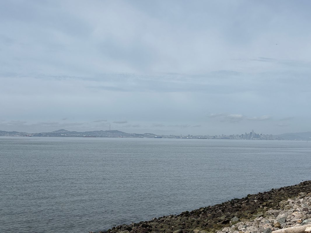 walking near me in Leydecker Park in spring