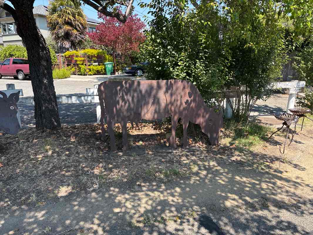 walking near me in Ohlone Greenway in summer