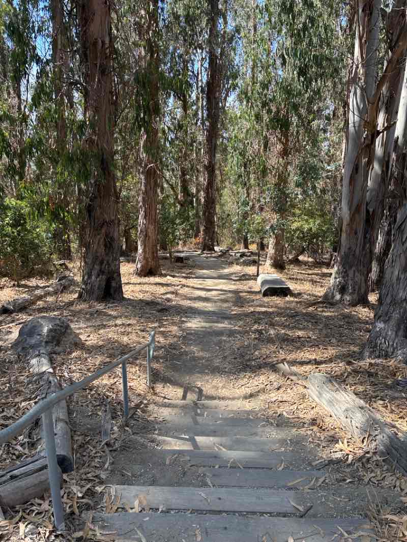 walking near me in Creekside Park in autumn