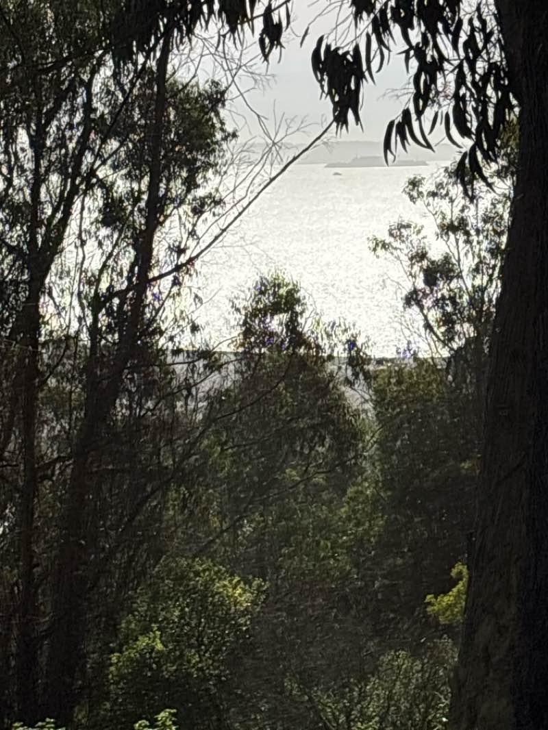 walking near me in Creekside Park in spring