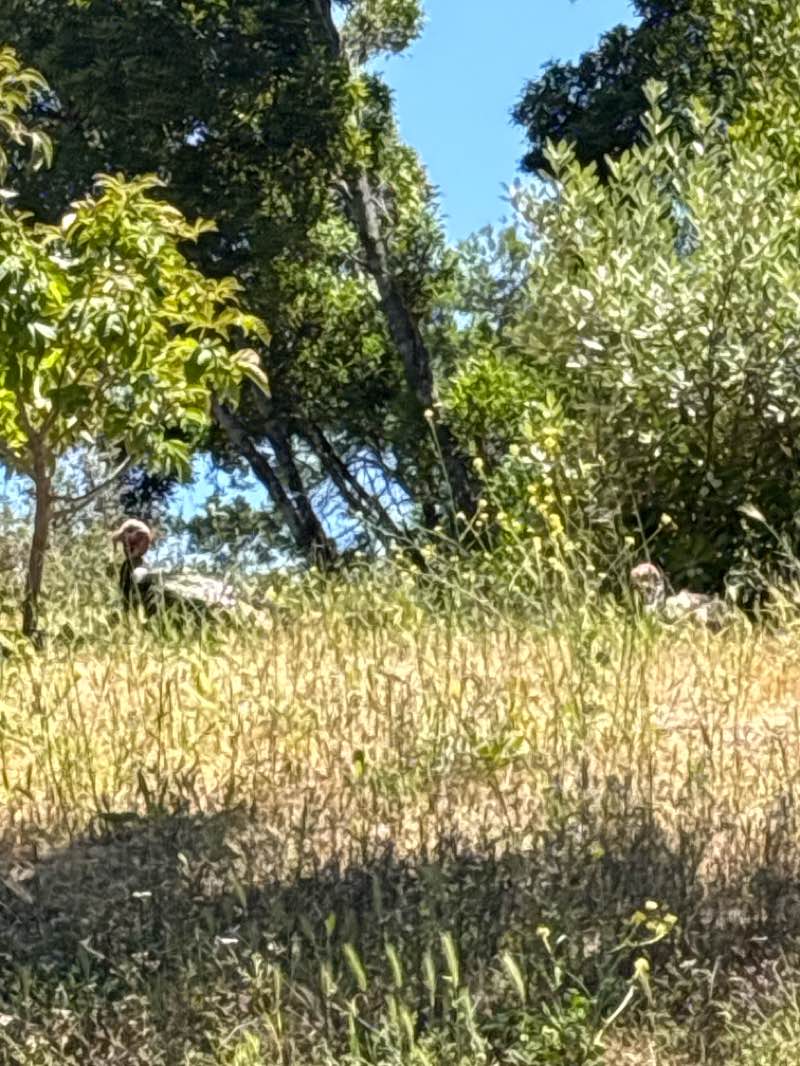 walking near me in North Basin Strip in summer