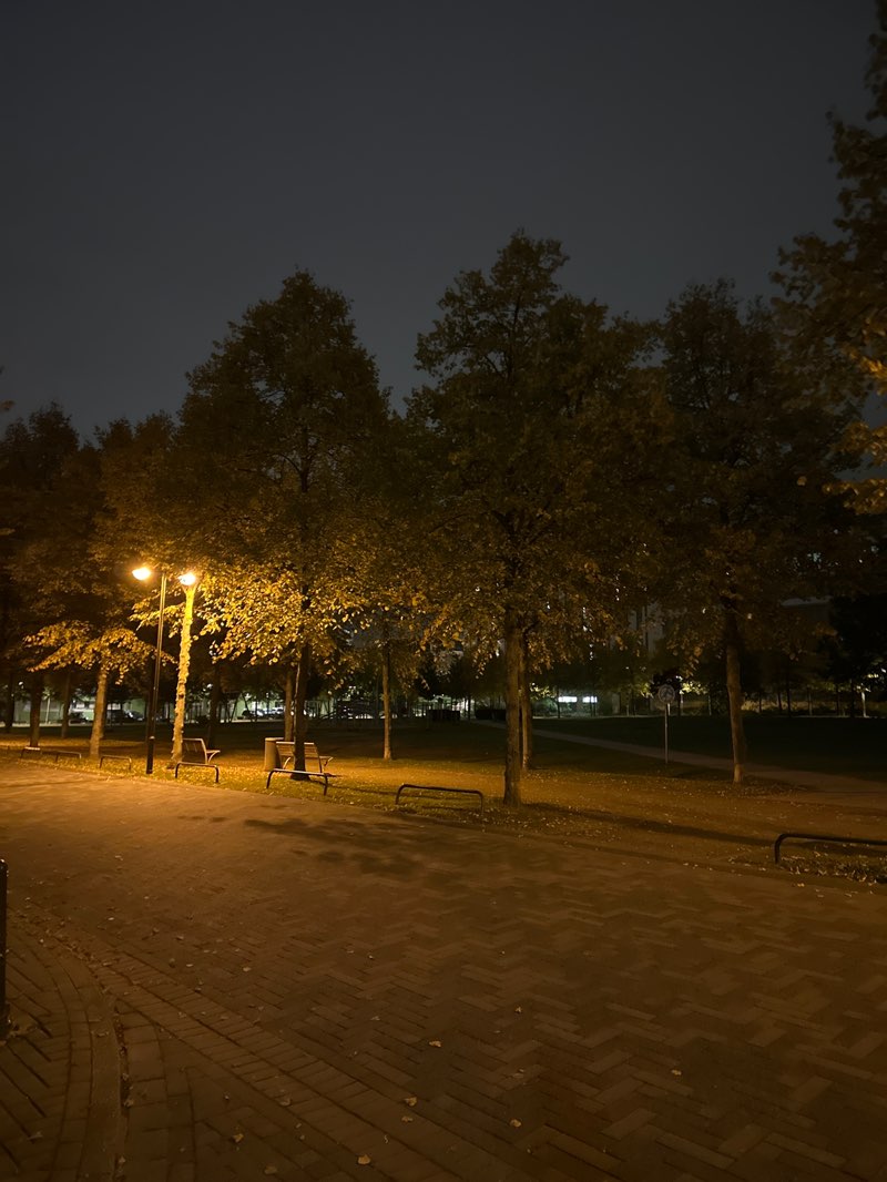 walking near me in IHZ-Park in autumn