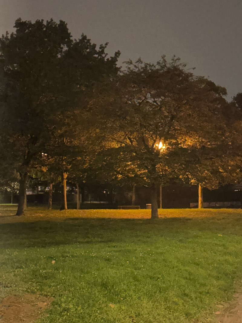 walking near me in Sonnenpark in autumn