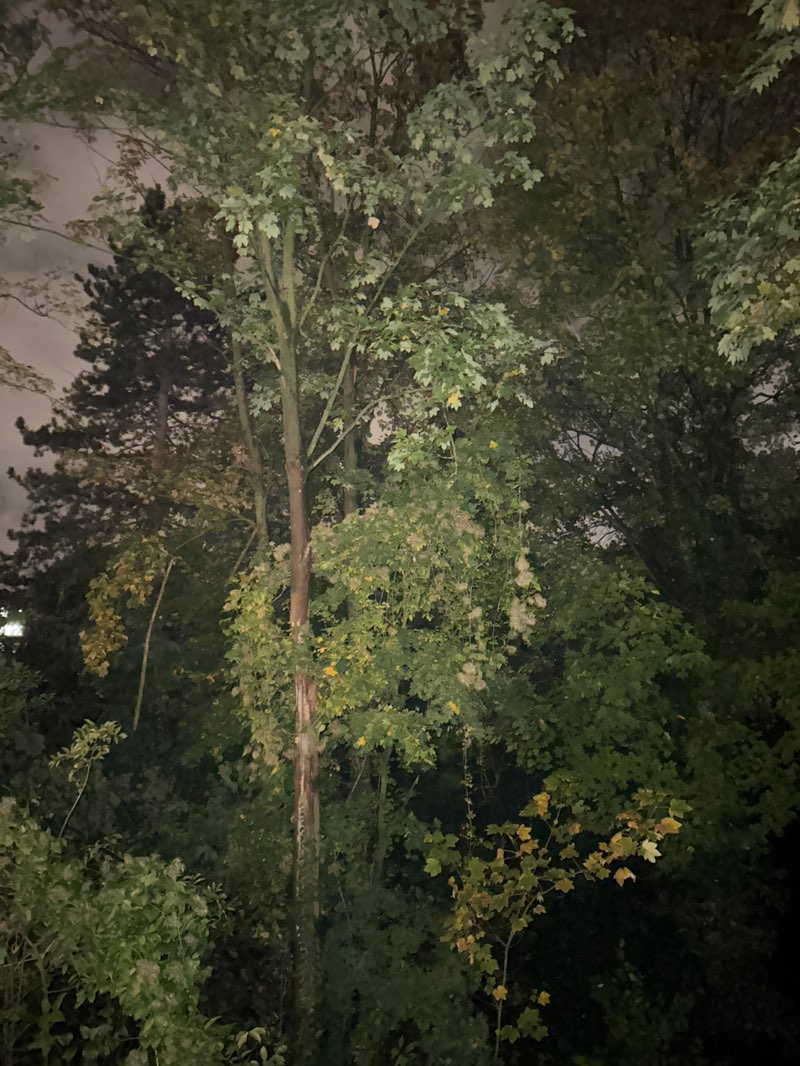 walking near me in Buscher Mühle in autumn