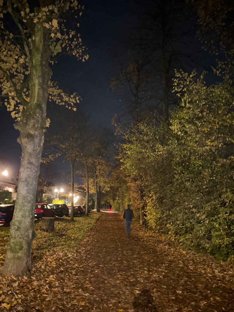 walking near me in Ostpark in autumn