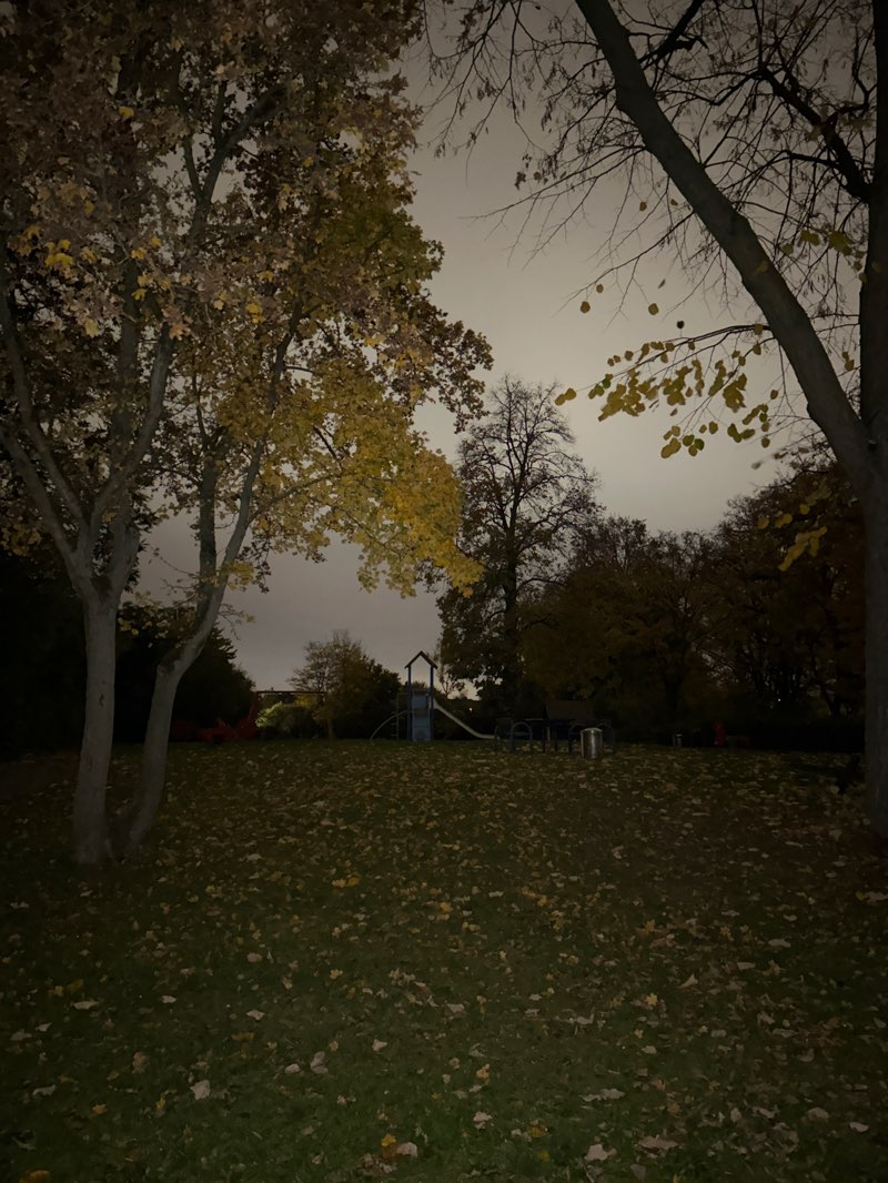 walking near me in Heinefeldplatz in autumn