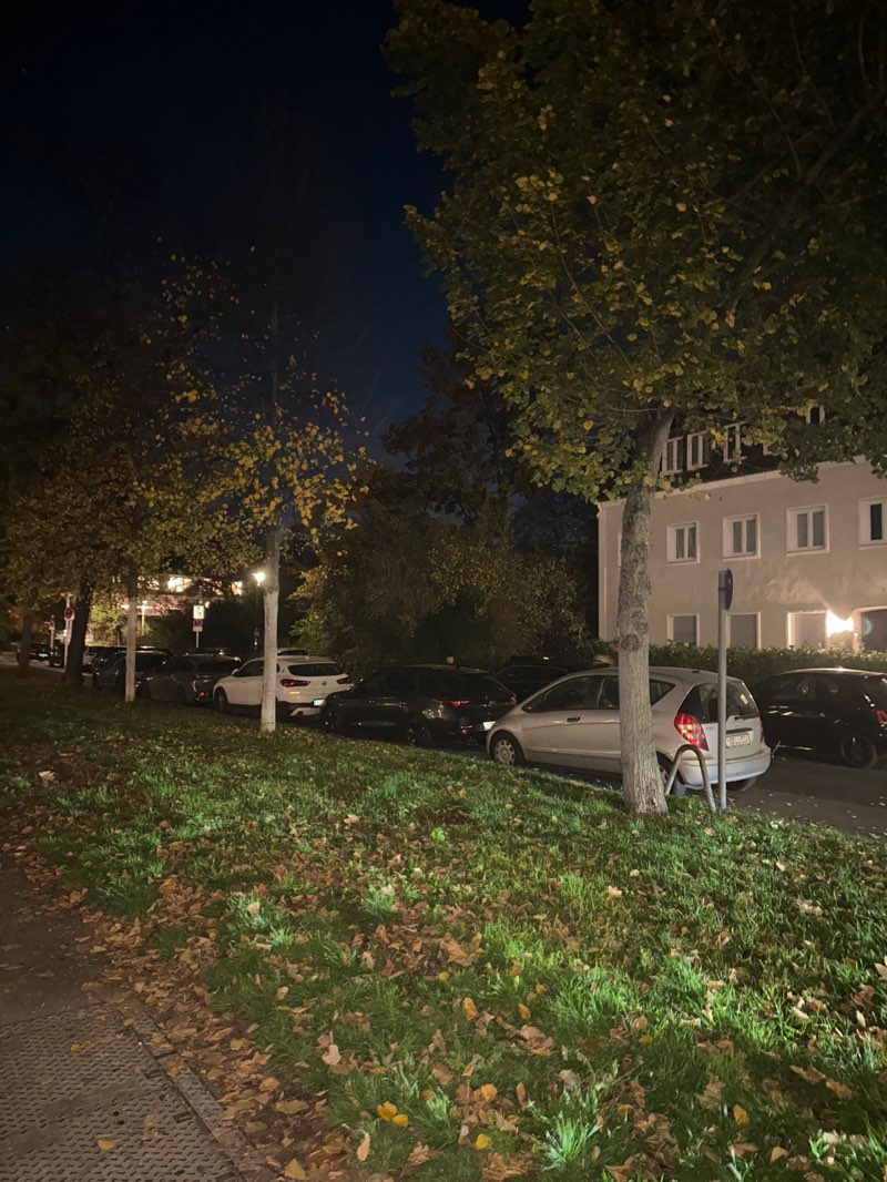 walking near me in Haniel Park in autumn