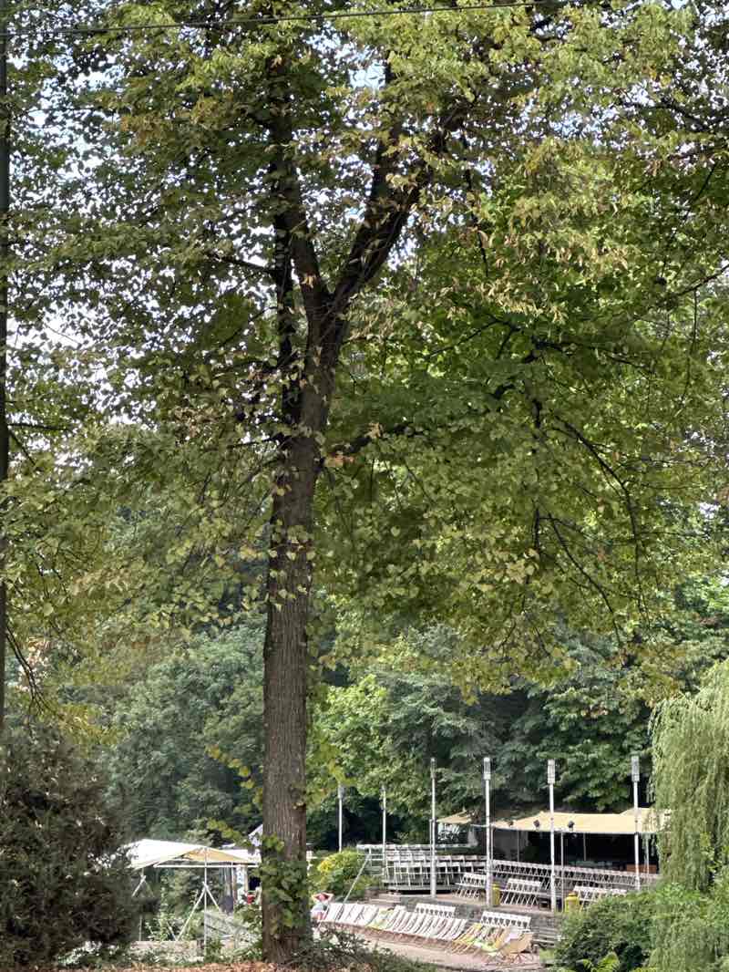 walking near me in Ständehauspark in summer