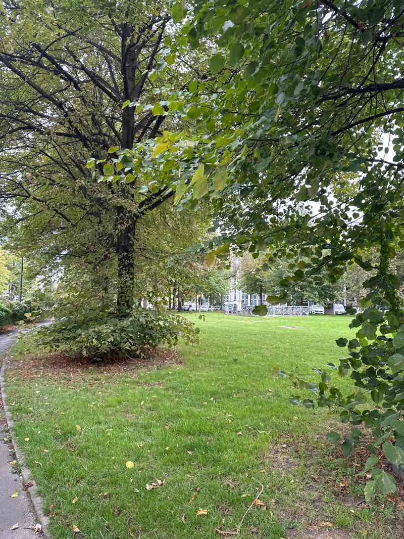 walking near me in Adolph-von-Vagedes-Platz in autumn