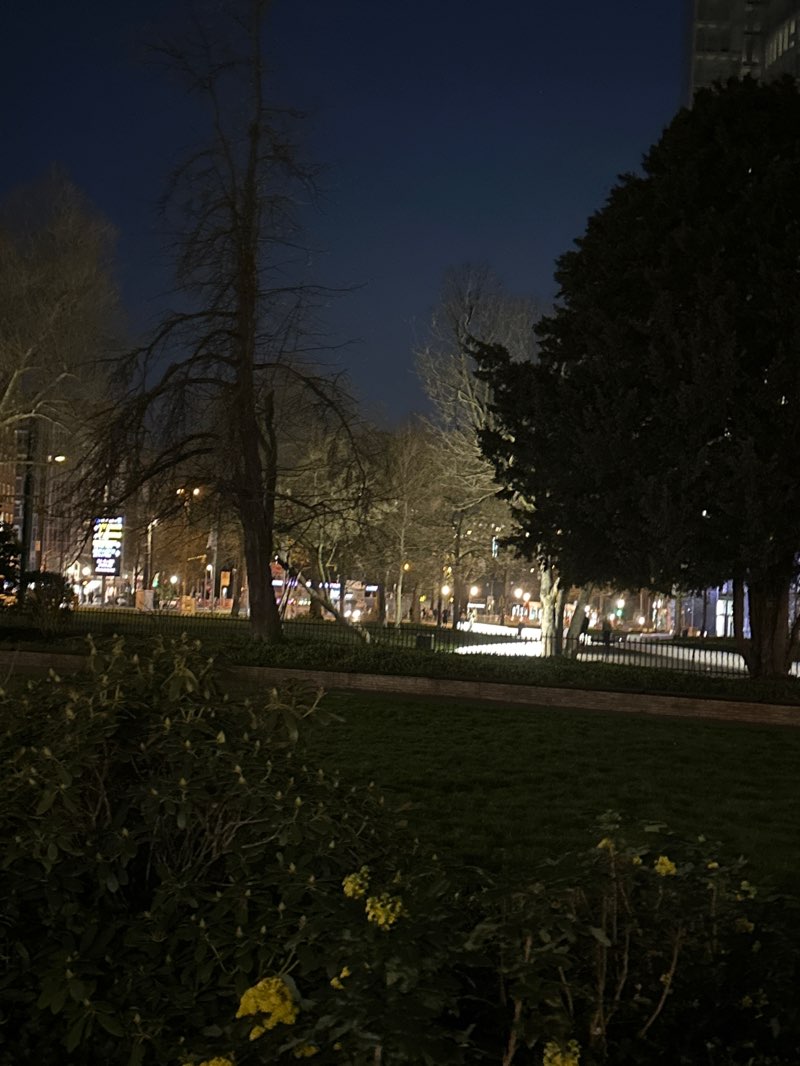 walking near me in Graf-Adolf-Platz in spring