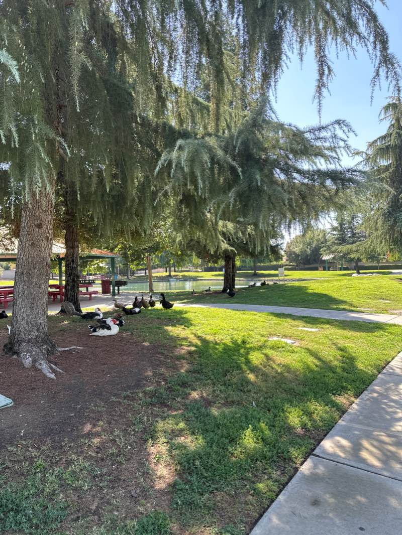 walking near me in Del Lago Park in winter