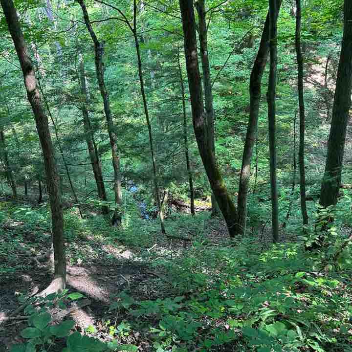 Pricing Step Challenge 2023 Sylvia post image