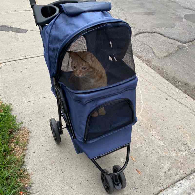 Pricing Step Challenge 2023 Ashley post image