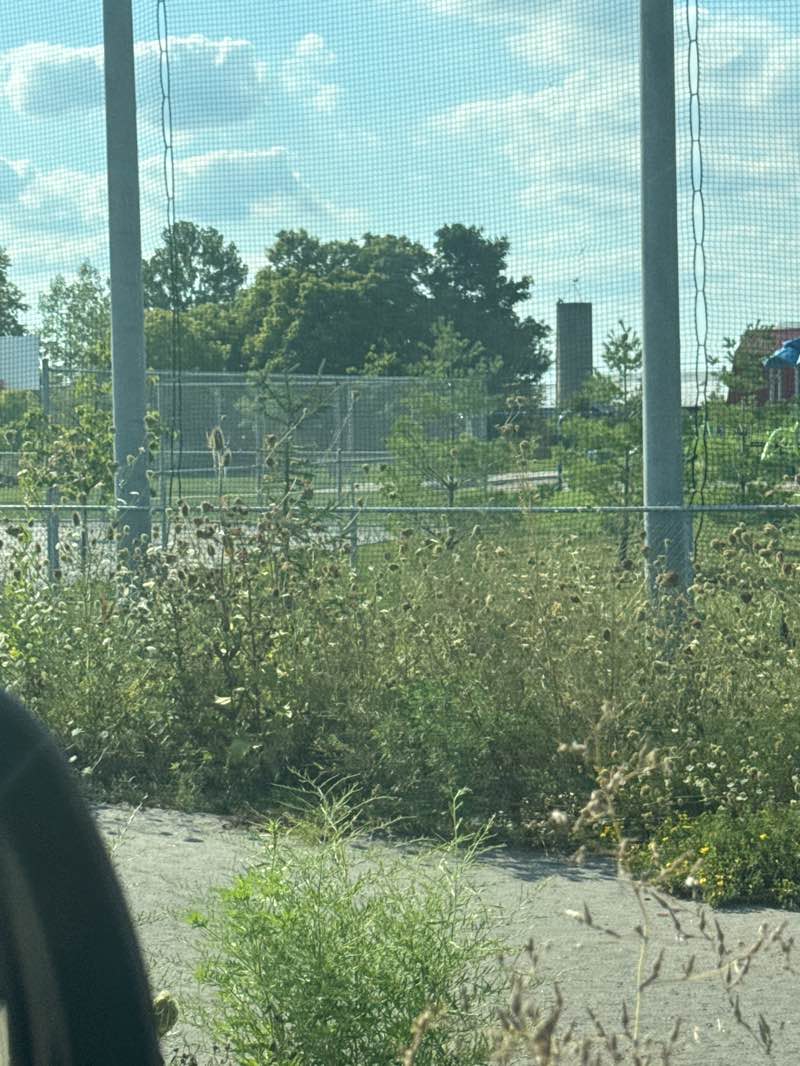 walking near me in Omagh Park in autumn