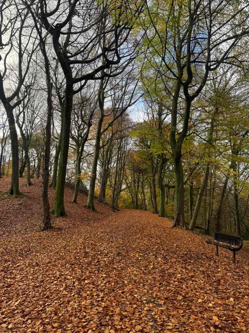 walking near me in Boggart Hole Clough in autumn