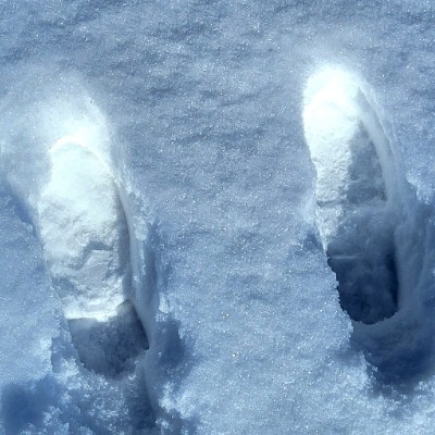 Wanderers Stacy post image