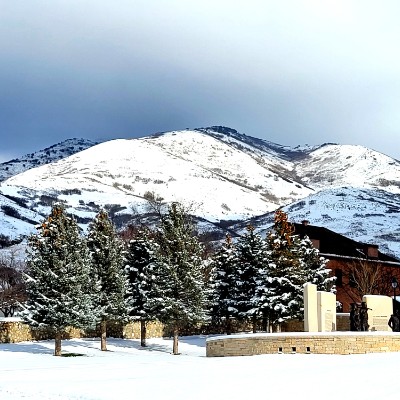 Wanderers Stacy post image