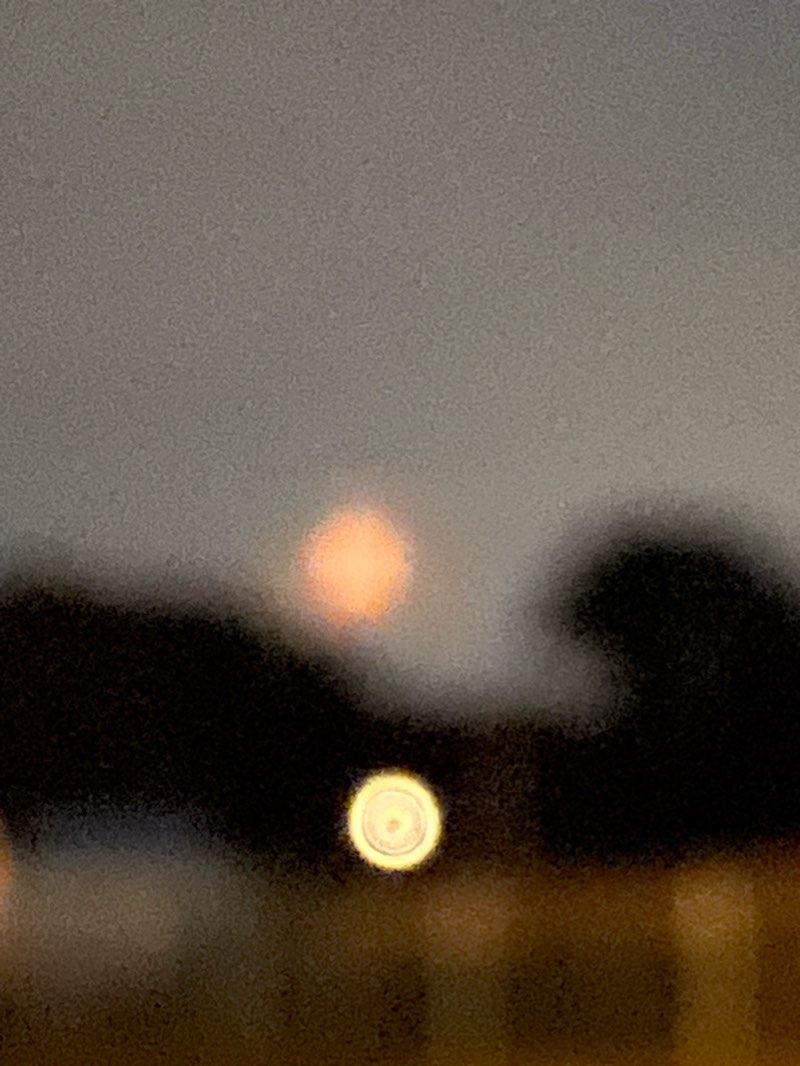 walking near me in Hazel Adams Burns Park in winter