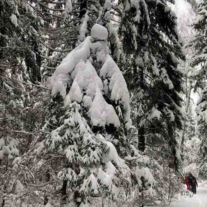 Галопом по Москве🏃🏻🏆 Елена post image