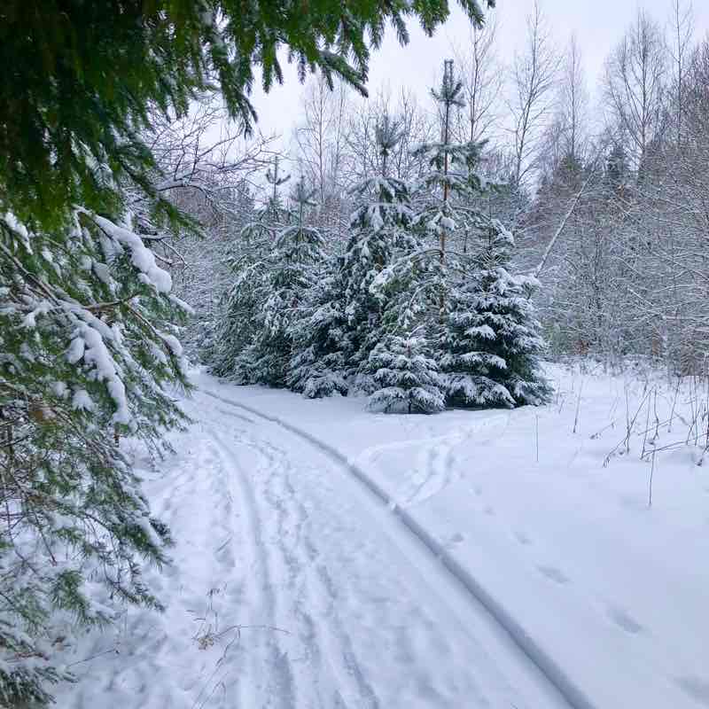Галопом по Москве🏃🏻🏆 Елена post image