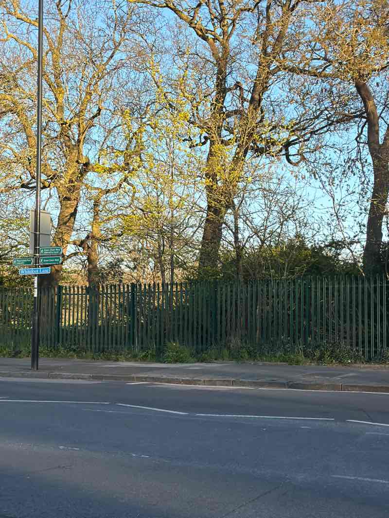 walking near me in Whitefoot Lane Playing Fields in spring