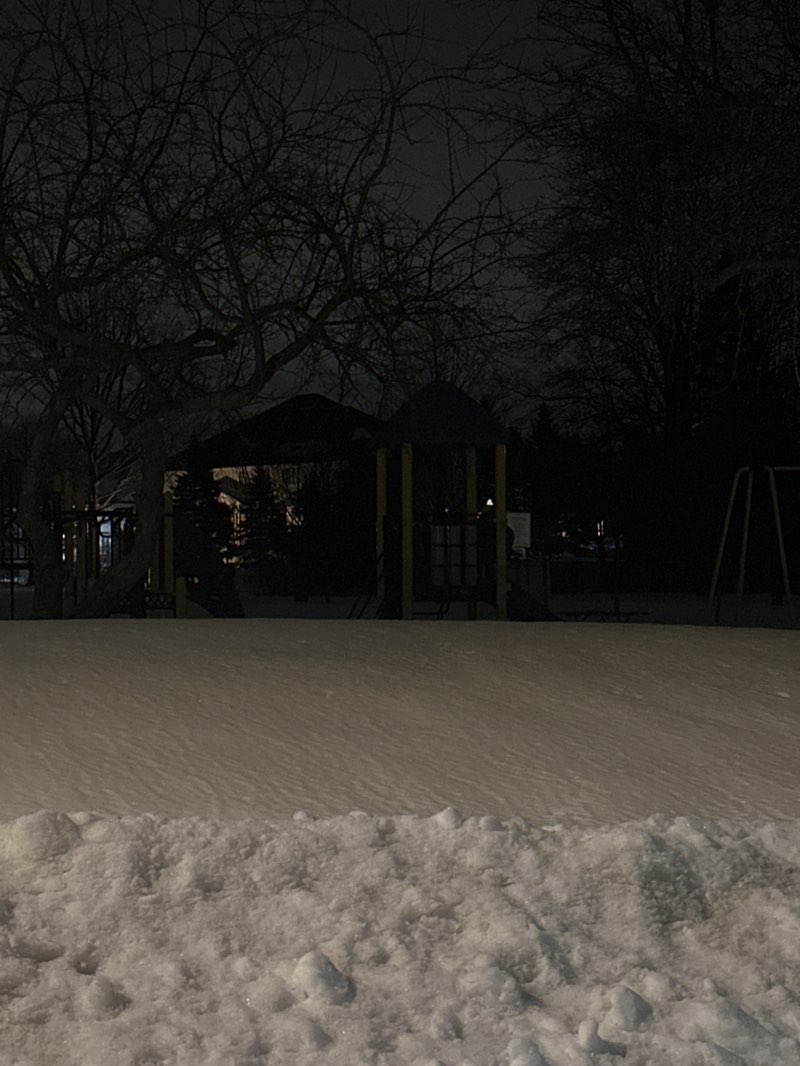 walking near me in Yewholme Park in winter