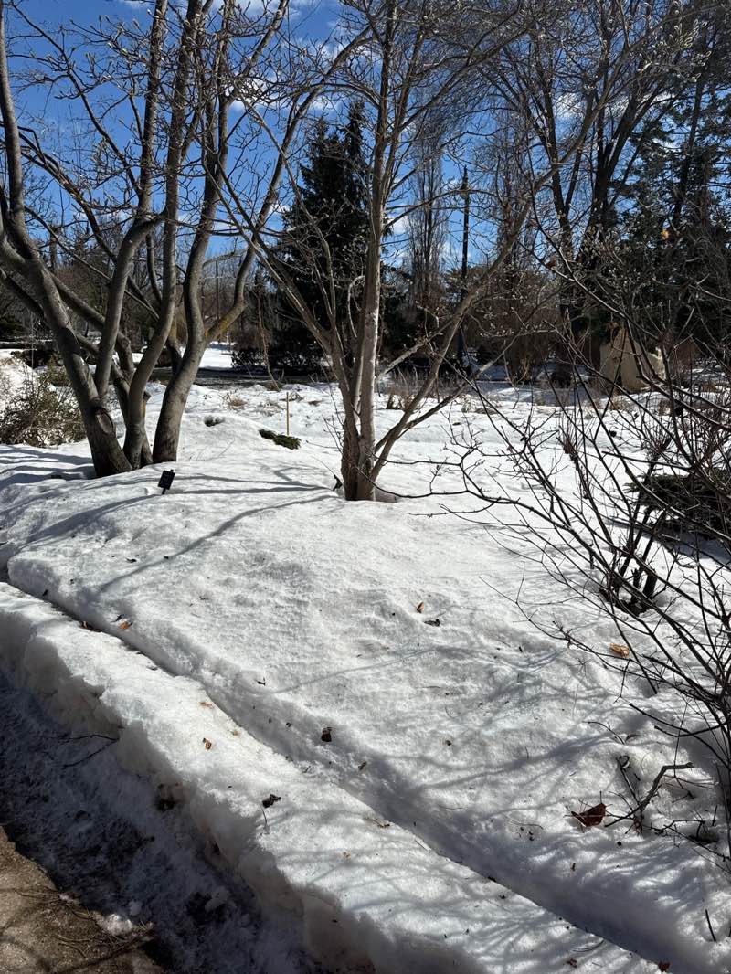 walking near me in Conservatory Gardens in spring