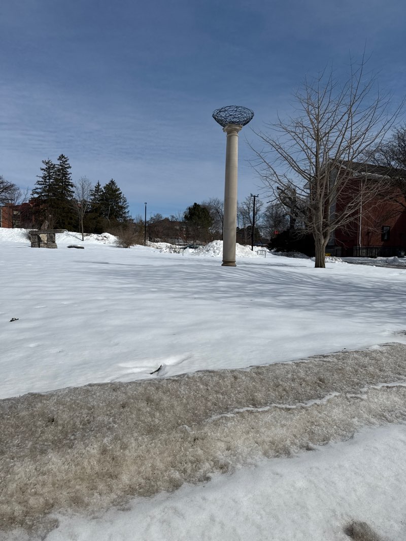 walking near me in Royal City Park in spring
